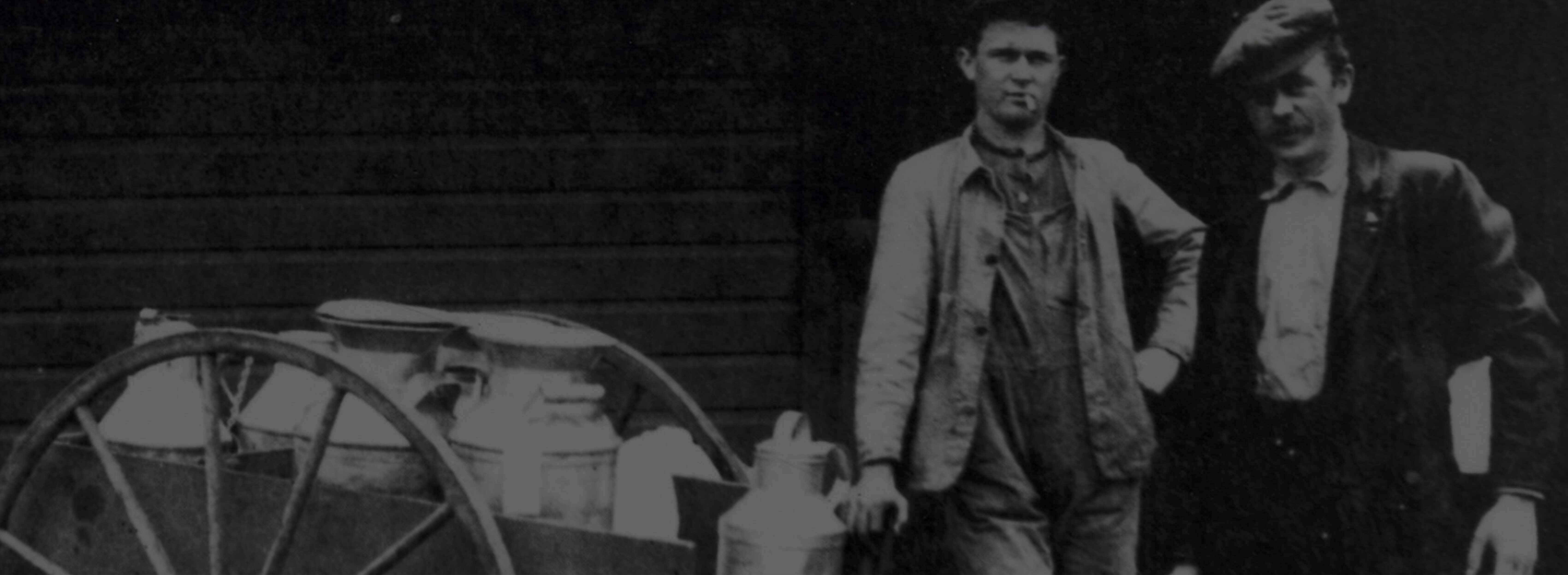 Home Darigold Philippines